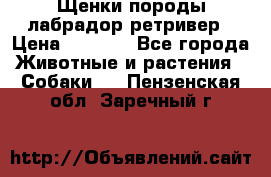 Щенки породы лабрадор ретривер › Цена ­ 8 000 - Все города Животные и растения » Собаки   . Пензенская обл.,Заречный г.